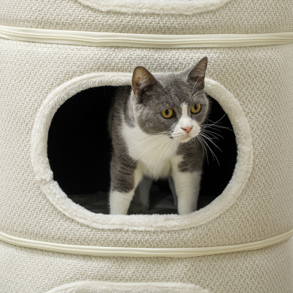 PawHut Katzenfass, 4 Ebenen, mit Kissen, Kratzmatte, Spielbällen, Katzenhaus für Innenbereich, Beige