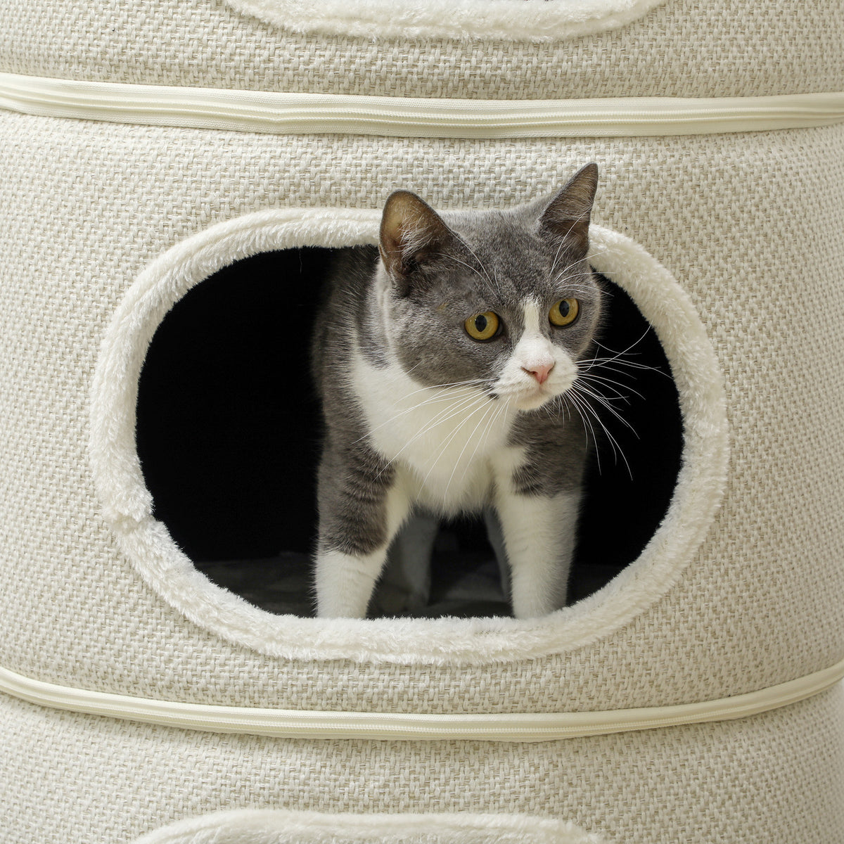 PawHut Katzenfass, 4 Ebenen, mit Kissen, Kratzmatte, Spielbällen, Katzenhaus für Innenbereich, Beige